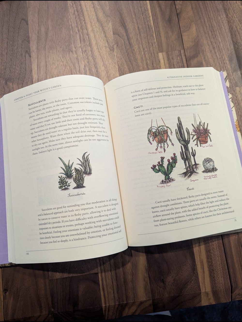 The Green Witch's Garden Hardcover Book - Beige & Green Botanical Cover - Picture 2 of 10